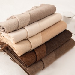 2025 new double-sided solid color macaron scarf for women, popular for winter Fashionable faux cashmere tassel warmer wholesale