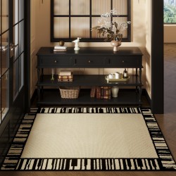 Entrance door mats, household non-slip mats, absorbent dust-removing doormats, and entrance carpets.