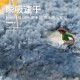 Absorbent bathroom floormats, household toilet carpet doormats, bedroom doormats, bathroom non-slip mats.