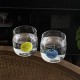 Korean INS natural style blueberry fruit glass, high-borosilicate heat-resistant milk cup. Simple, artistic breakfast cup