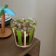 Korean Instagram Style Dreamy Colored Star Glass Coffee Cup, Super Fairy Girly Drinking Glass Goblet Korean Instagram Style Dreamy Colored Star Glass Coffee Cup, Super Fairy Girly Drinking Glass Goblet