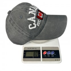 New foreign trade knitted hat, American letter embroidered retro wool hat, influencer pile hat, autumn and winter warm cold hat trend