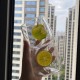 Ins fresh and cute star-shaped red wine glass, high-borosilicate water cup, simple bow coffee cup, milk breakfast